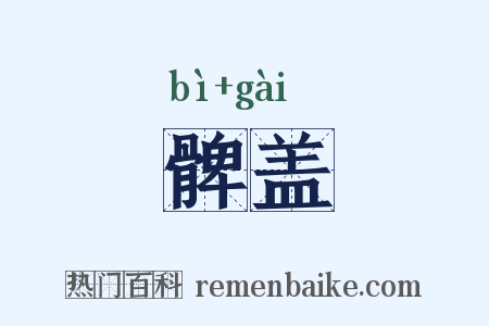 髀盖是什么意思的图片